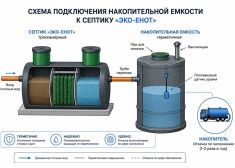 Эко-Енот Fintek 1.5